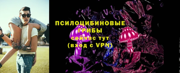 не бодяженный Весьегонск